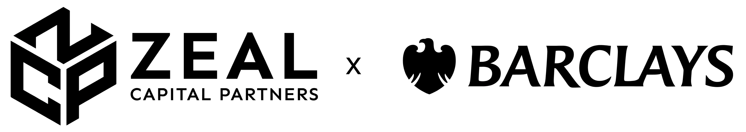Investor partner 5